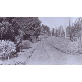 View of the gardens around the tennis court at Saumarez