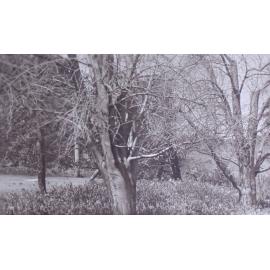 View of the gardens around the tennis court at Saumarez