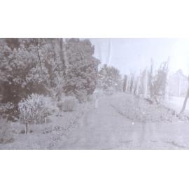 View of the gardens around the tennis court at Saumarez