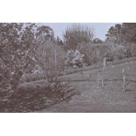 View of gardens at Saumarez