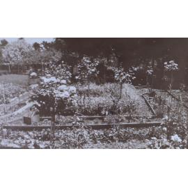 Garden beds at Saumarez
