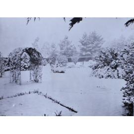 Snow at Saumarez - gardens