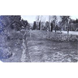 Gardens at Saumarez Homestead