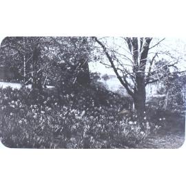 Gardens at Saumarez Homestead