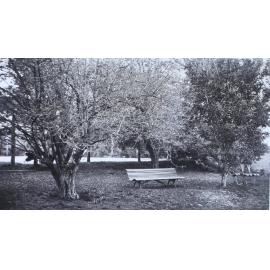 Gardens at Saumarez Homestead