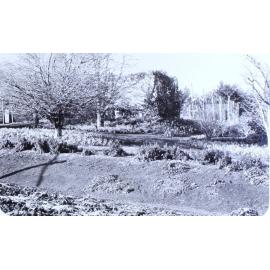 Gardens at Saumarez Homestead