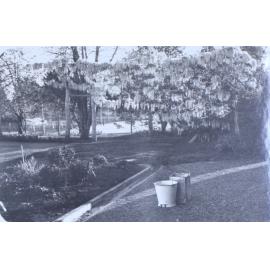 Gardens at Saumarez Homestead