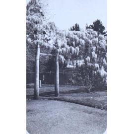 Gardens at Saumarez Homestead