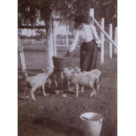 Grace and lambs