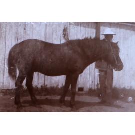 Tampson[?] and Mr. Irving