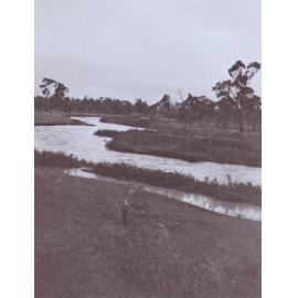 Creek in flood. Jan, 15th, 1910