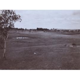 View across farm towards the house