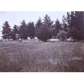 Father's office and dogs yard