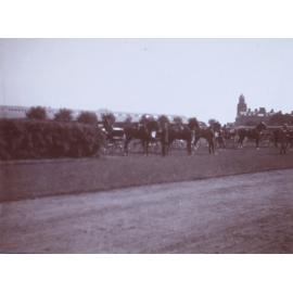 Fidgrig [?], Dublin Horse Show, Ireland 1905