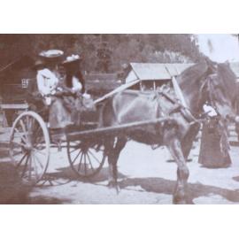 Mrs Hart / Mrs Stewart