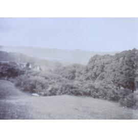 View taken at Westcott, Surrey, England