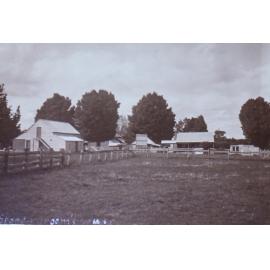 Store and groom's house