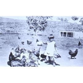 Unidentified girl feeding the chickens