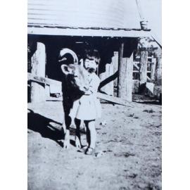 Unidentified child with calf