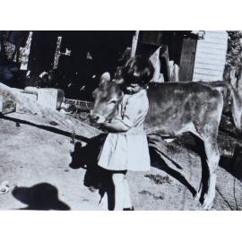 Unidentified child with calf