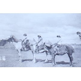 Three young children sitting on horses