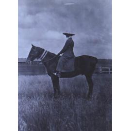 Woman on a horse with show ribbons
