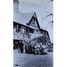 Wisteria growing up the side of a house