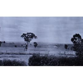 View across the paddocks