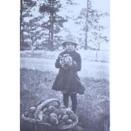 Young girl with an armful of pines cones and a basket of cones