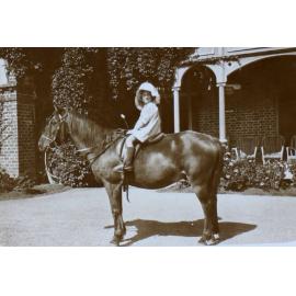 Young girl on a horse