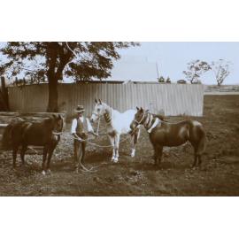 Man holding three horses