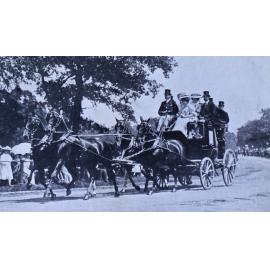 Mr. Lindsay Hogg's Chestnuts. Coaching Club Meet