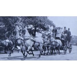 Sir Edward Stern's Blue Roans