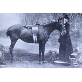 Miss Margaret Kaufman