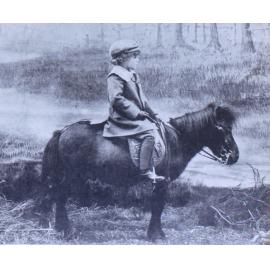 Master Patrick Grove