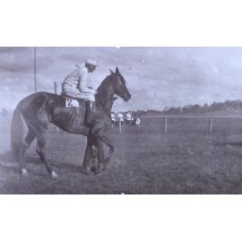 Race horse and jockey, handler behind the horse