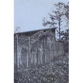 Soldiers with giraffes