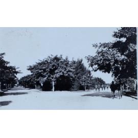 Soldiers walking through a park
