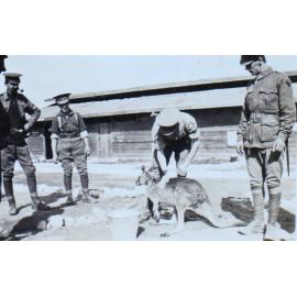 Soldiers with a kangaroo