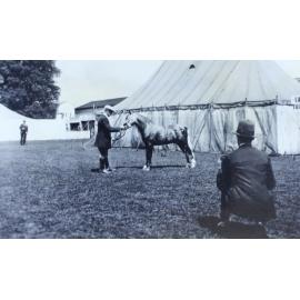 Richmond Horse Show - caption