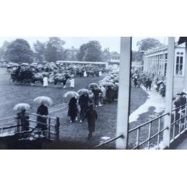 Four-in-hands, very wet day