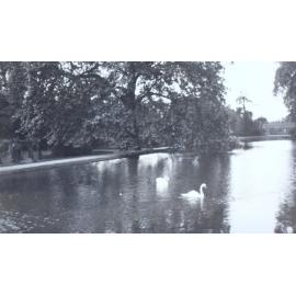 Hurlingham - caption