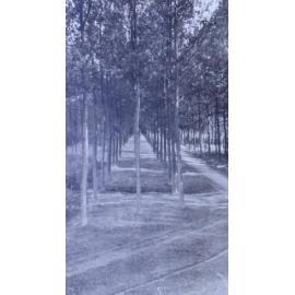 Up the river from Antwerp 