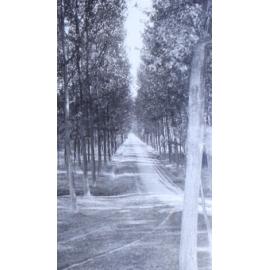 Up the river from Antwerp 