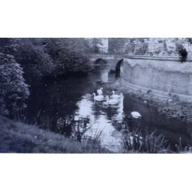 Midlehime park, Antwerp 