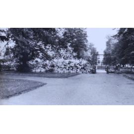 Hampton Court Gardens 