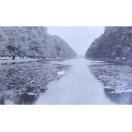 Hampton Court Gardens 