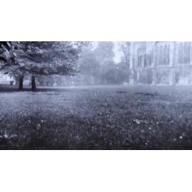 Winchester Cathedral 