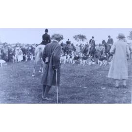 Meet Devon, Somerset stag hounds 