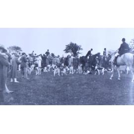 Meet Devon, Somerset stag hounds 